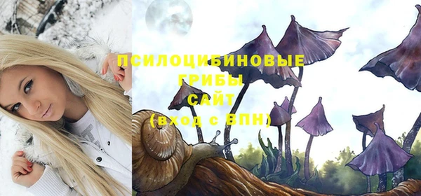 apvp Верхний Тагил
