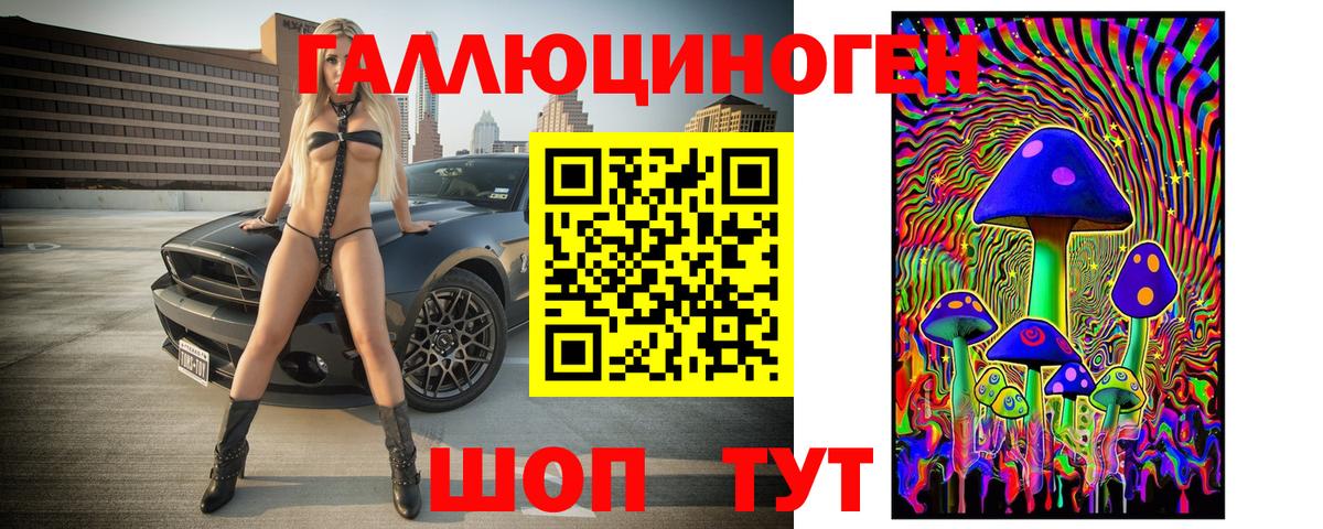 Псилоцибиновые грибы GOLDEN TEACHER Богородицк