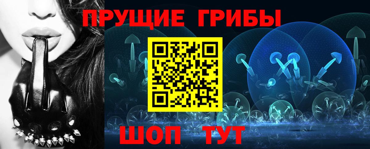Псилоцибиновые грибы Psilocybine cubensis Богородицк