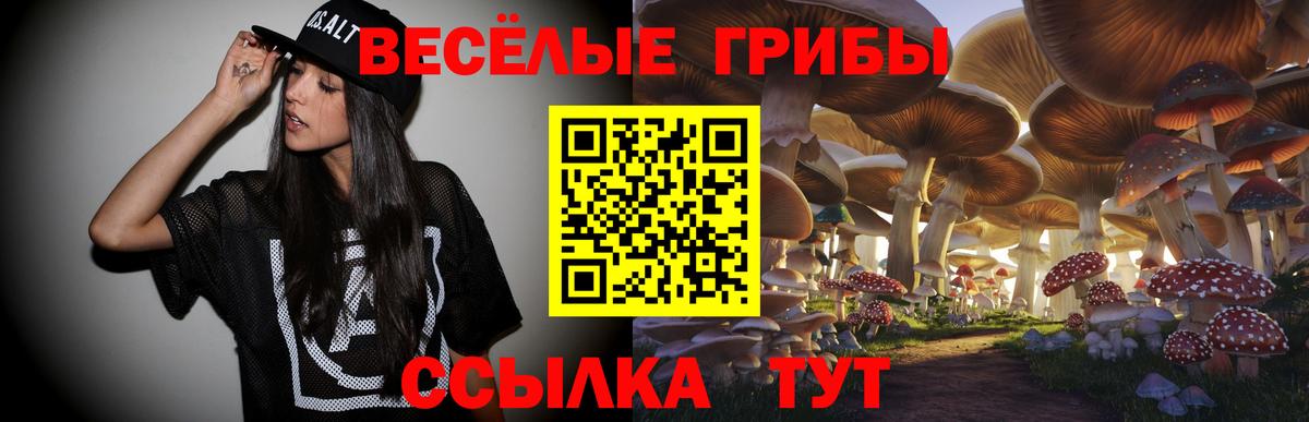 Богородицк  Галлюциногенные грибы GOLDEN TEACHER  Вход с VPN  Псилоцибиновые грибы мицелий 